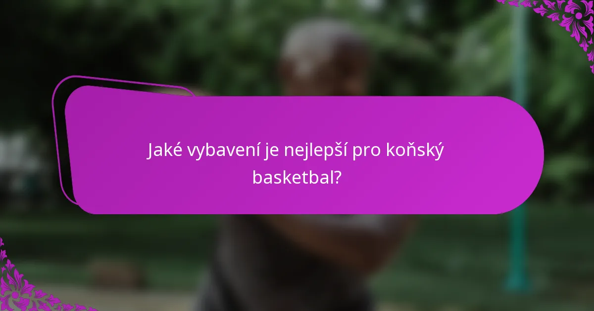Jaké vybavení je nejlepší pro koňský basketbal?